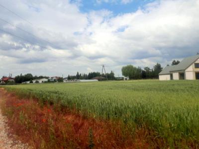 Działka Szczepankowo, ul. Gościnna