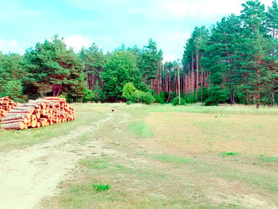 Działka rolno-budowlana Piasek