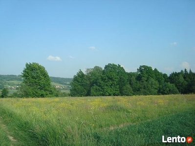 Sprzedam dziłkę Nozdrzec 58 arów