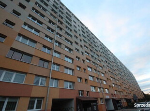 3pok, 54met, okolice Zajęczej BALKON/PIWNICA/WINDA (Wrocław)