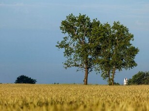 Działka budowlana Górki