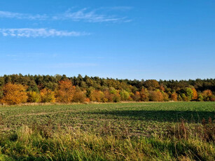 Działka budowlana Karczów