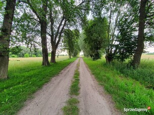 Działka budowlana Sieradz Sadowa/Droga Jeziorska