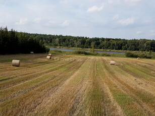 Działka inwestycyjna Stęszew