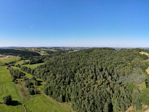 Działka leśna Gorlice