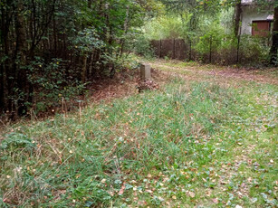 Działka rolno-budowlana Ostrów