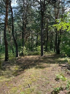 Działka budowlana Konstancin-Jeziorna