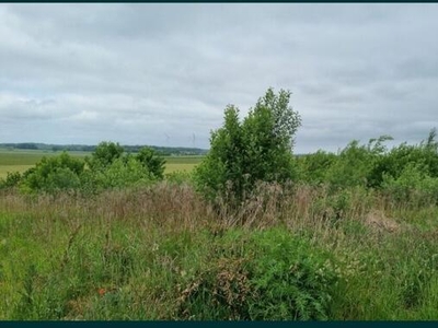 Działka budowlana obok Koszalina