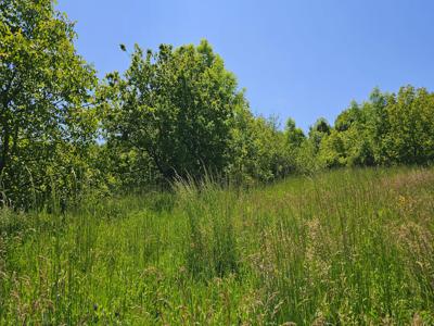 Przestronna działka 32a Okocim - Tarnów 33km