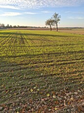 Atrakcyjna działka budowlana 9 ar lub więcej, Łuszczów Drugi