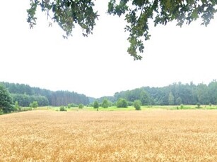 Działka budowlana Osowiec