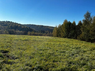 Działka rekreacyjna Wyręby