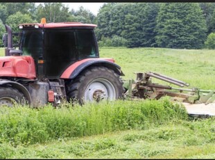 Wydzierżawię grunty rolne i leśne, łąki zakrzewione i zadrzewione