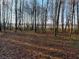 Działka budowlano-rekreacyjna 2000m2 z linią brzegową i lasem