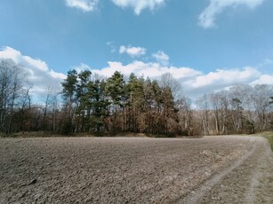 Dom w zabudowie bliźniaczej Olsztyn ul. Morenowa