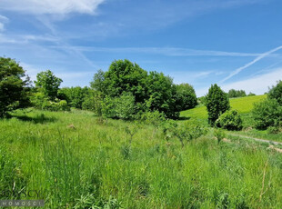 Krakowski, Krzeszowice, Nowa Góra