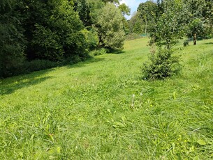 Reńska Wieś, Pokrzywnica ul. Głogowska