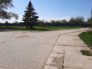 Wynajem plac 6000 m2, 2 zł/m2