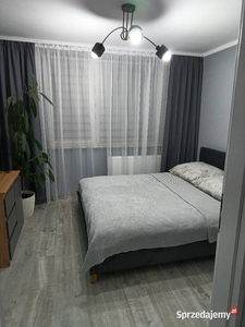 Apartament do wynajęcia