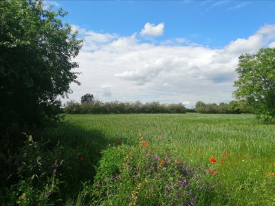 Działka na sprzedaż, Lipnowski, Radomice