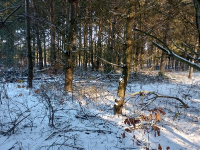 Działka na sprzedaż, Pułtuski, Kępiaste