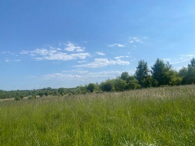 Syndyk sprzeda nieruchomość w Mostach