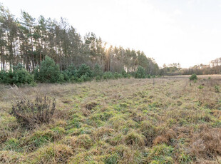 Działka budowlana Kotuń gm.Szydłowo 1196 m2