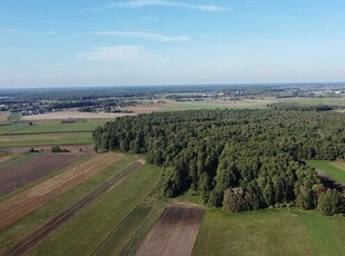 Las, działka leśna 0,54ha, Ustrzesz