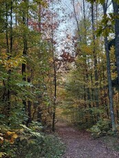 Mazury, domek w lesie, nad jeziorem, Masuriamiracle