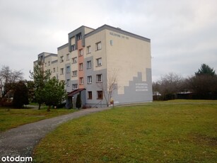 Sosnowiec Kalinowa 2 pokoje niski blok 3 piętro