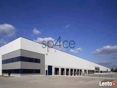 Hala/Magazyn, 18 000 m², Lublin