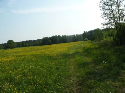 Działka Lipno Skępe Żagno Pokrzywnik