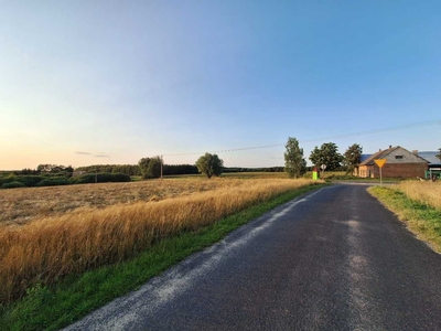 Działka siedliskowa Ząbrowo