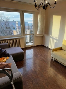mieszkanie 2-pokojowe do wynajęcia Jaroty