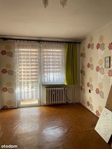 Duży Apartament w centrum Poznania | Dwa tarasy