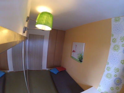 Room for rent in a shared apartment