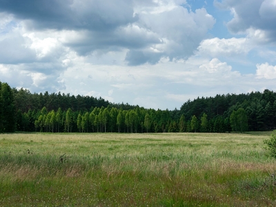 sprzedam dzialke nad jeziorem gim zgnilocha