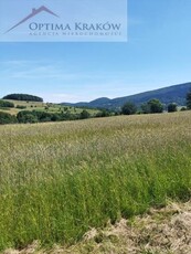 Wiśniowa Kobielnik , 11 500,00 m