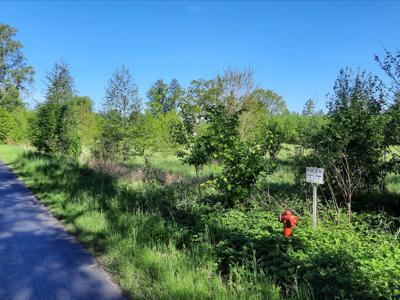 Działka na sprzedaż, Radom, Pruszaków