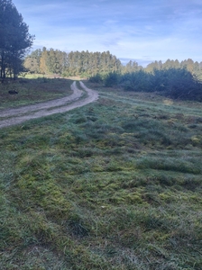 Działka rolna nieużytki