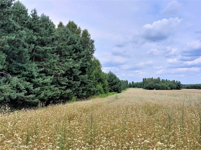 Dwie działki widokowe na os. Krzęczków II