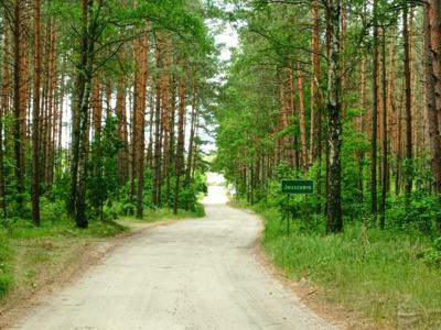 Działka leśna 800m do jeziora, 15min do A1, uzbrojenie w+e