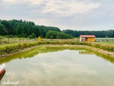 Wynajmę działkę letniskową wraz z domkiem