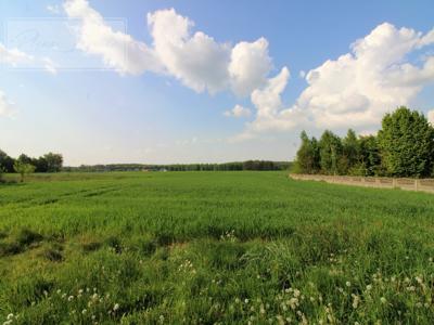 Tomaszowski (Pow.), Rokiciny (Gm.), Mikołajów, Mikołajów