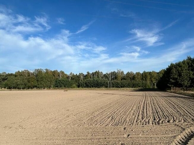 Działka budowlana Biskupice gm. Pobiedziska,