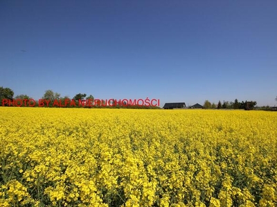 Działka budowlana Mrowiny gm. Żarów