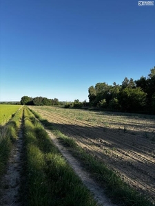 Działka leśna Łopiennik Górny