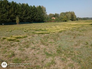 Działka rolna 3000 wym 37x85m Stary Kraszew Radzymin Wołomin