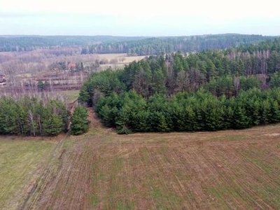 Działka rolna Kocioł Duży gm. Pisz