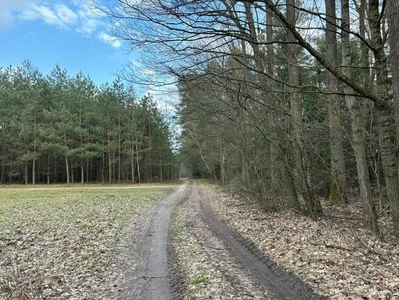 Działki o pow. 2,40 ha w Nagoszewie, gm. Ostrów Mazowiecka